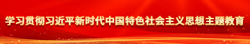 日比逼逼艹学习贯彻习近平新时代中国特色社会主义思想主题教育